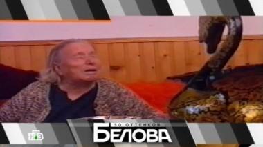 Выпуск от 26 декабря 2015 года 25.12.2015