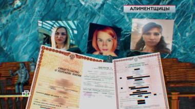 «Алиментщицы» 30.01.2026