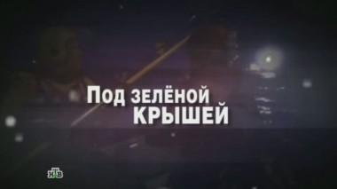 Под зеленой крышей 28.09.2013