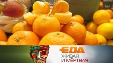 Как выбрать вкусные мандарины, что приготовить на Новый год и как отличить низкокалорийный торт от обычного? 30.12.2017