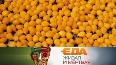 Все о продуктах из кукурузы, 5 полезных десертов, влияние черники на зрение и где содержится холестерин 11.11.2017
