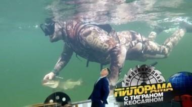 9 сентября 2017 года 09.09.2017