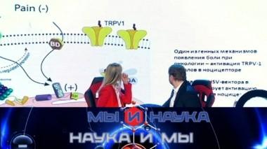 Через 10 лет наука победит боль? 25.07.2020