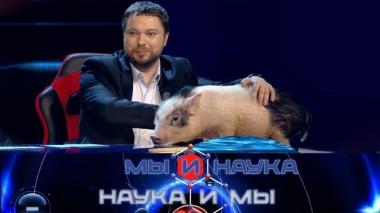 Через 10 лет наука победит болезнь почек? 24.05.2021