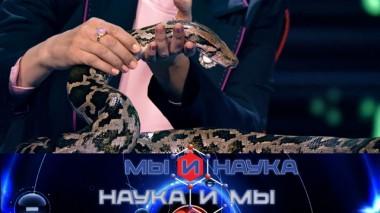 Неужели в ближайшие 10 лет роботы заменят домашних животных? 08.08.2020