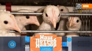 Как определить хорошее куриное яйцо на глаз и чем фаршируют пельмени на самом деле 12.04.2025