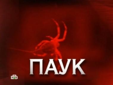 Паук 27.08.2016