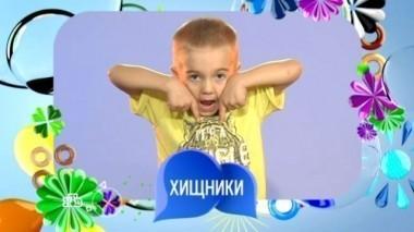 Выпуск тридцать седьмой 05.05.2017