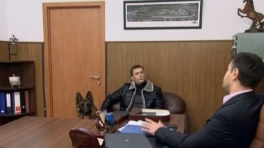 Страшное дело 16.11.2016