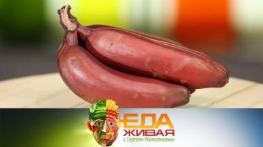 Какие бананы самые вкусные и полезные, а также - что кладут в морские коктейли 29.05.2020