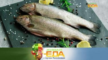 Преимущества форели, коварная хурма и проверка рецепта куриной закуски из Интернета 21.12.2024