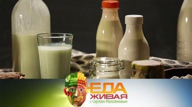 Реальные свойства кефира, подделка анчоусов и цены на жвачки 07.03.2020