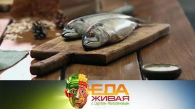 Живая еда / Выпуски / Полезные кислоты скумбрии, вкус «элитных» фиников и сироп из топинамбура как альтернатива сахара 24.10.2020