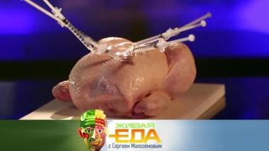 Живая еда / Выпуски / Преимущества мяса птицы и рецепты блюд из кабачков 09.10.2021