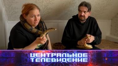 Выпуск от 17 мая 2025 года 17.05.2025