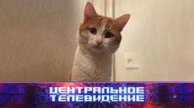 Выпуск от 27 января 2024 года 27.01.2024