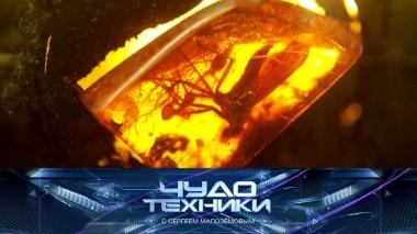 Целебные свойства янтаря, субстрат для растений и использование электроприборов в ванной 18.09.2021