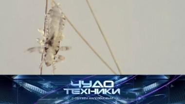 Эффективная борьба с педикулезом, выбор средства для мытья посуды и робот-уборщик, созданный в Якутии 23.11.2019
