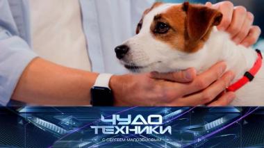 Поиск пропавших домашних животных, тест мицеллярной воды и учеба с искусственным интеллектом 27.03.2026