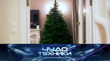 Выбор новогодней елки, опасность гирлянд и тест мультирезки 21.12.2019