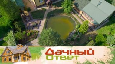 Сад любви с лесными растениями и прудом вместо ямы с водой 03.07.2021