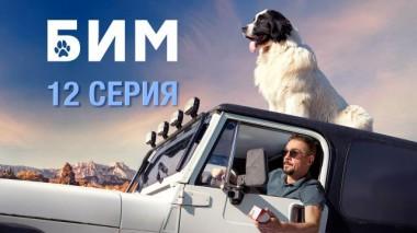 12-я серия 10.01.2022