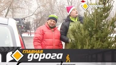 Правильная перевозка елки, опасные зимние развлечения и тест машины с пробегом 27.12.2019