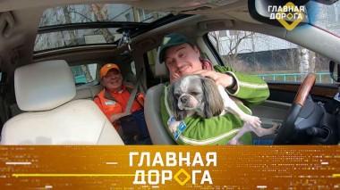 Риски для аллергиков за рулем, лишение прав за чужую пьянку и тест мини-кроссовера Hyundai Creta I 19.04.2024