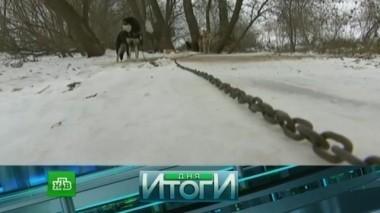 30 марта 2017 года 31.03.2017