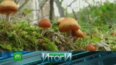 31 августа 2016 года 31.08.2016