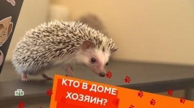 Выпуск двадцать второй 15.06.2018