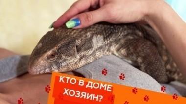 Выпуск седьмой 02.03.2018