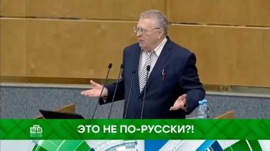 Это не по-русски?! 05.11.2019