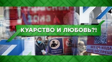 Куарство и любовь?! 24.11.2021