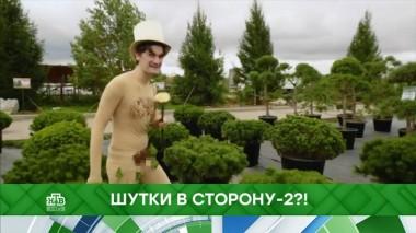 Шутки в сторону &mdash; 2?! 04.12.2019