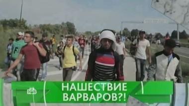 Нашествие варваров?! 07.06.2019