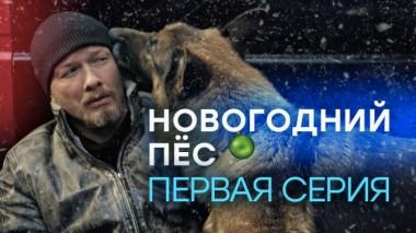 1-я серия 11.02.2024
