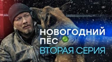 2-я серия 12.02.2024