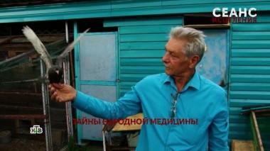 «Сеанс исцеления». 3 серия 14.08.2025