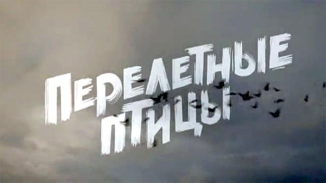 Перелетные птицы