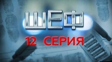 12-я серия 27.07.2015