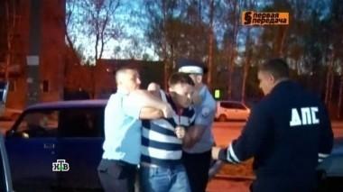 Большой переполох в маленьком дворе, перевозка животных, падающие деревья и защита фар 21.05.2017