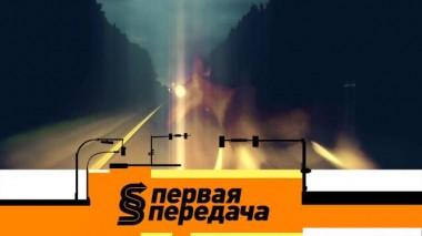 ДТП с животными, дорожный конфликт отцов и детей и тест Volkswagen Polo 13.11.2021