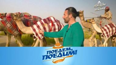 Аджман: старейший рынок Эмиратов, заплыв среди мангровых деревьев, барбекю на пляже и анклав Масфут 13.11.2025