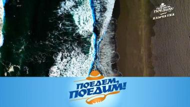 Камчатка: серфинг в Тихом океане, нерпа и медведь, крабсбургер и необычные пончики 05.11.2025