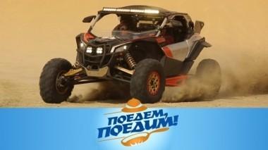 Катар: верблюжьи бега, сафари в пустыне, арабский фастфуд и хамур с восточными пряностями 08.02.2019