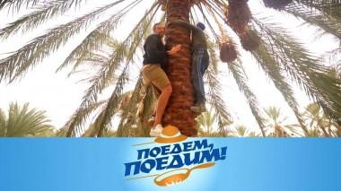 Тунис: жизнь в подземном городе, обед с султаном и сафари в песках 11.03.2022