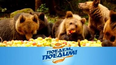Тверская область: медвежий угол, полеты на зиплайне, Селигер и знаменитые пожарские котлеты 14.11.2024