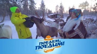 Югра: в гостях у оленеводов, сибирский замес и рагу из лося 15.12.2023