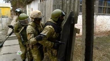 Боевые будни отряда Авангард: какие задачи выполняют спецназовцы и для чего необходимо вьючное транспортное подразделение? 20.04.2017